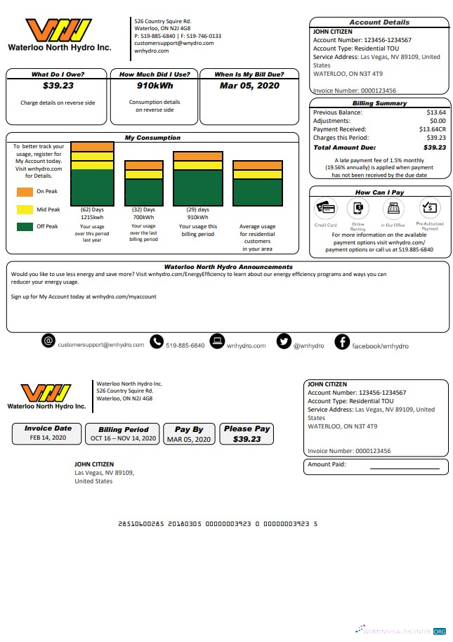 download USA Nevada Waterloo North Hydro utility bill template in Word and PDF format (version 2) PDF template
